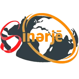 sinerje.webp